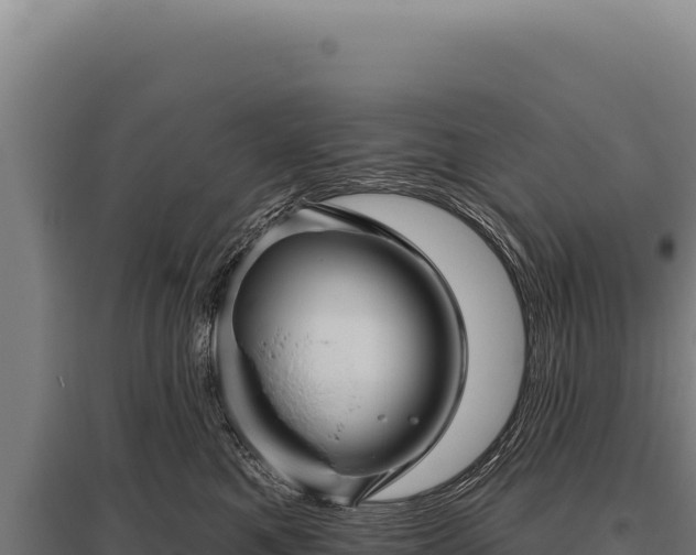 X0000095960521200801181448