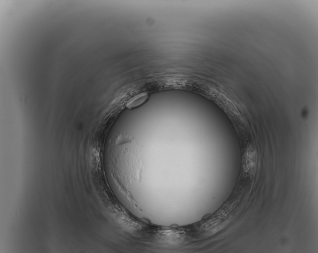 X0000095960522200801181448