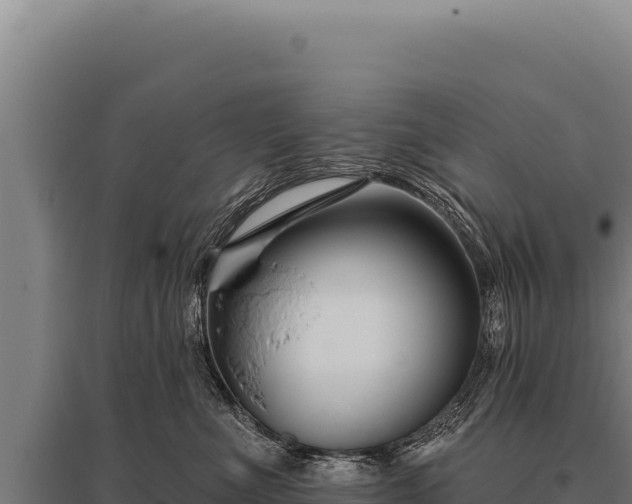 X0000095960523200801181448