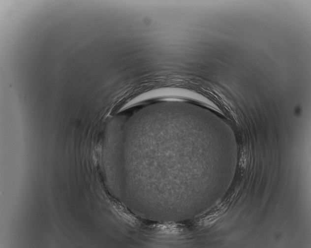 X0000095960524200801181448