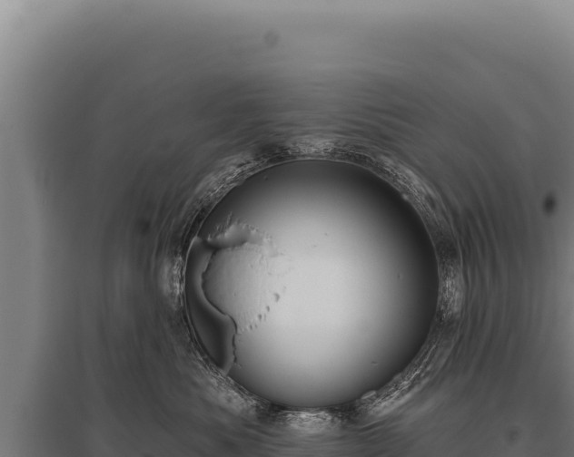 X0000095960525200801181448