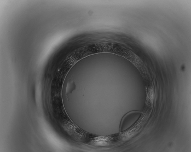 X0000095960526200801181448