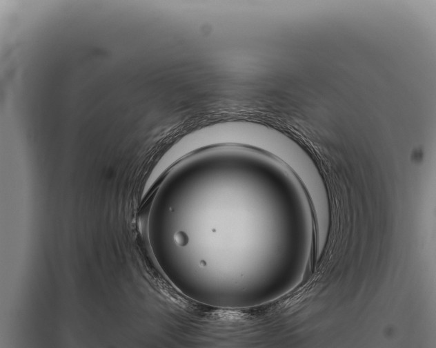 X0000095960528200801181448