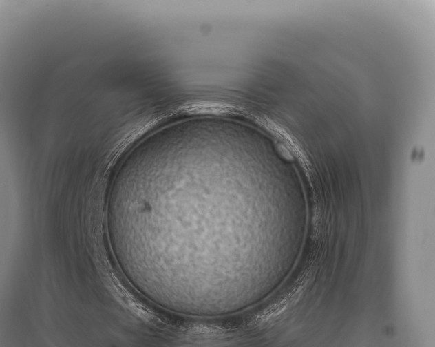 X0000095960529200801181447