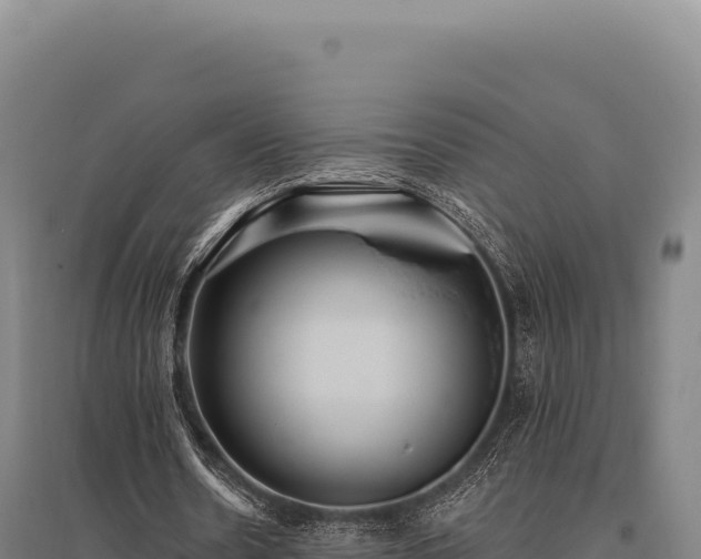 X0000095960530200801181447