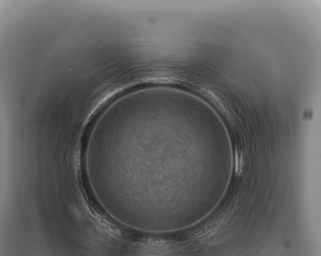 X0000095960531200801181447