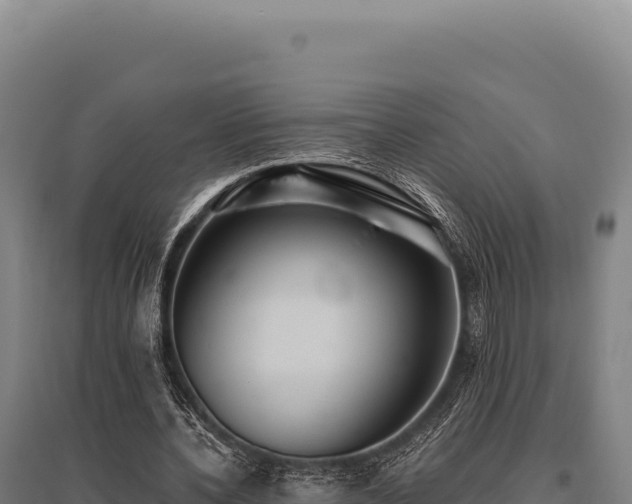 X0000095960532200801181447