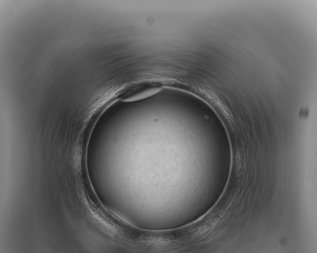 X0000095960533200801181447