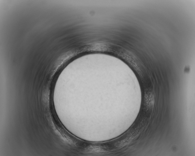 X0000095960534200801181447