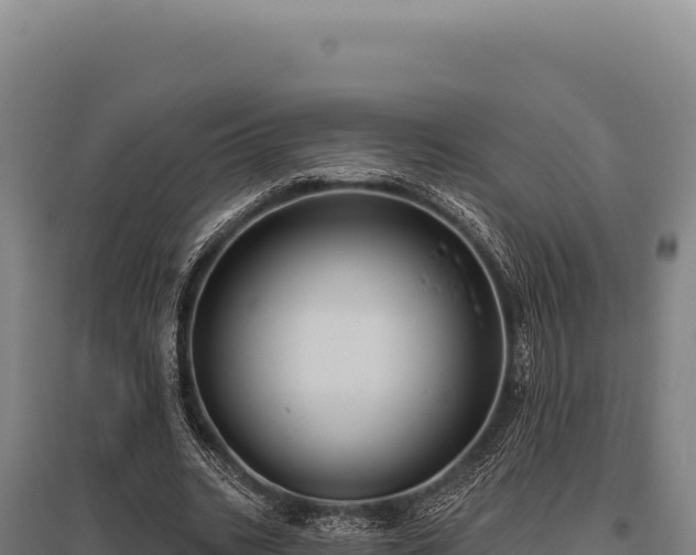 X0000095960535200801181447