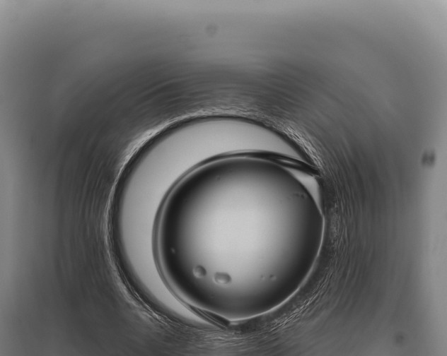 X0000095960536200801181447