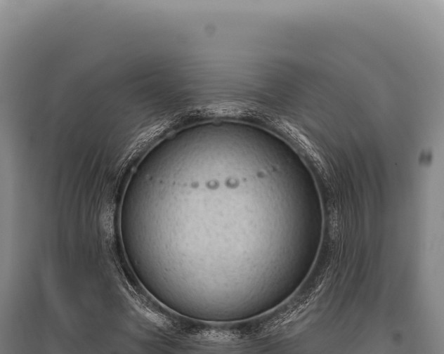 X0000095960537200801181447