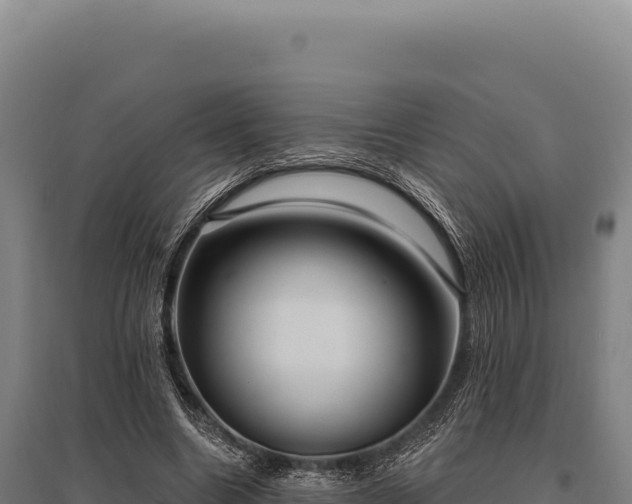 X0000095960538200801181447