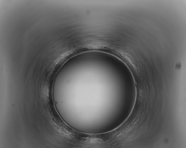 X0000095960539200801181447