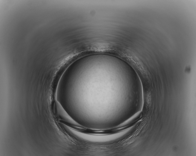 X0000095960540200801181447