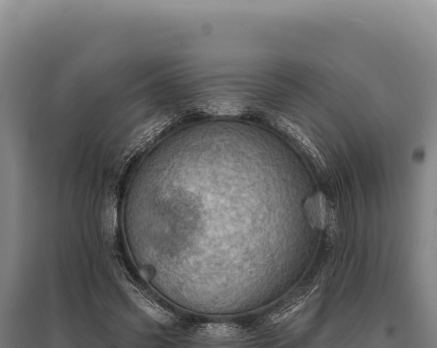 X0000095960541200801181447