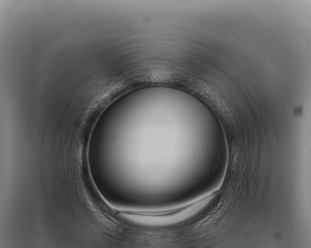 X0000095960542200801181448