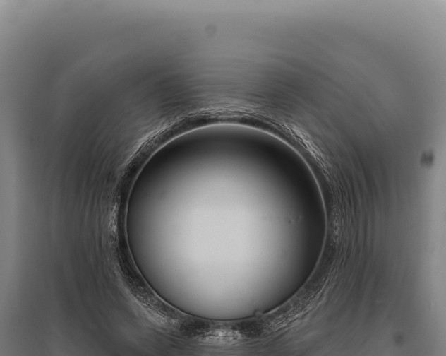 X0000095960543200801181448