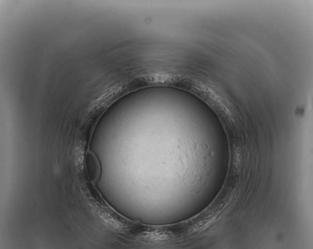 X0000095960545200801181448