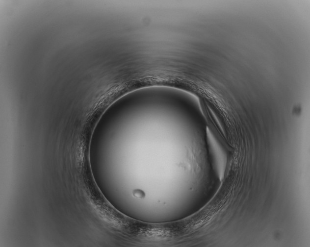 X0000095960546200801181448