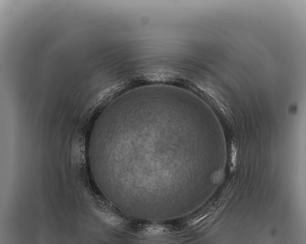 X0000095960547200801181448