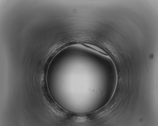 X0000095960548200801181448