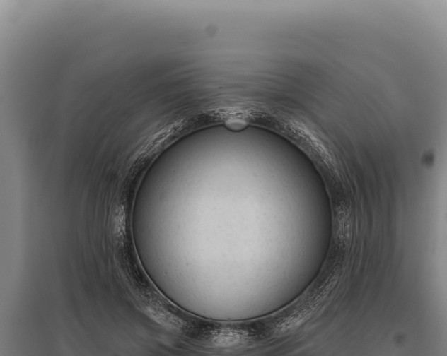 X0000095960549200801181448