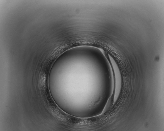 X0000095960550200801181448