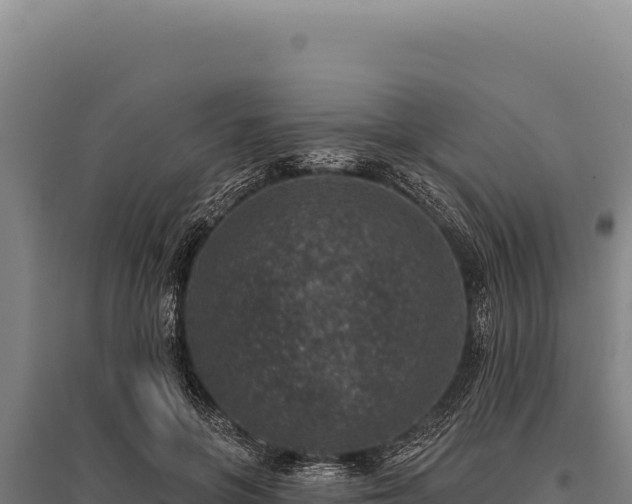 X0000095960551200801181448