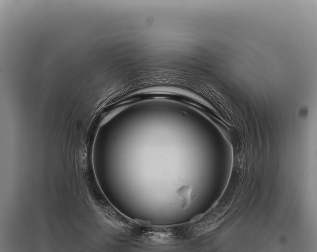 X0000095960552200801181448