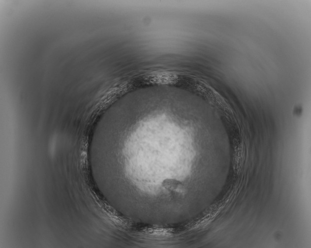 X0000095960553200801181448