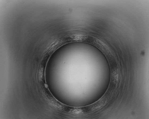 X0000095960554200801181448