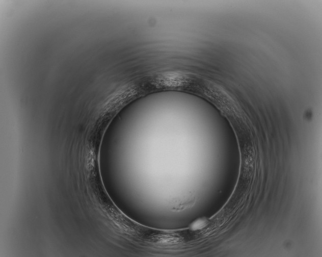 X0000095960555200801181448