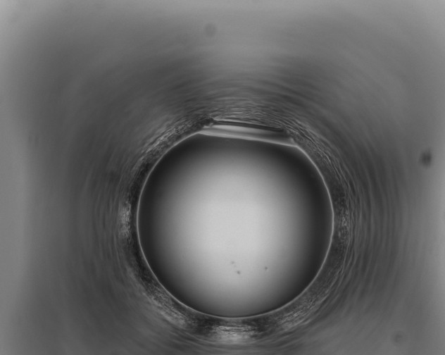 X0000095960556200801181448