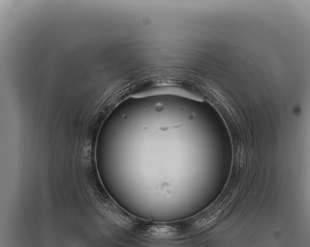 X0000095960557200801181448