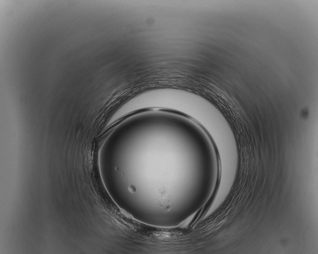 X0000095960558200801181448