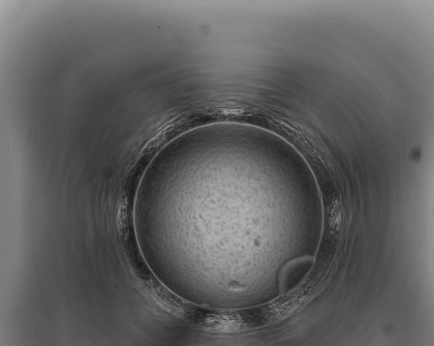 X0000095960559200801181448