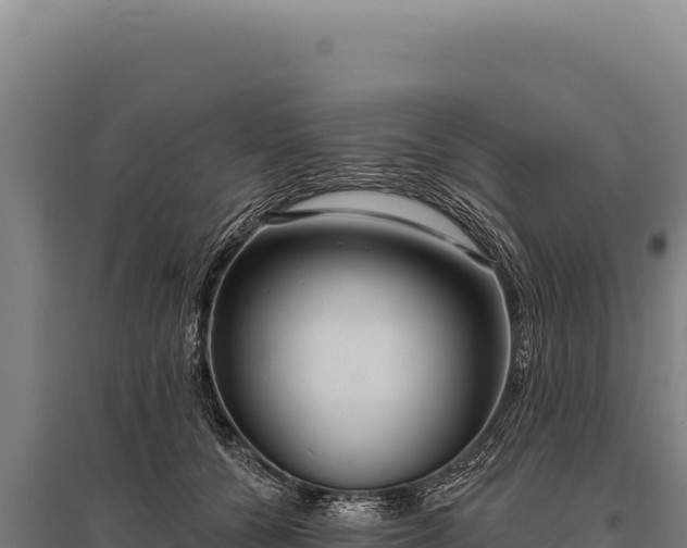 X0000095960560200801181448