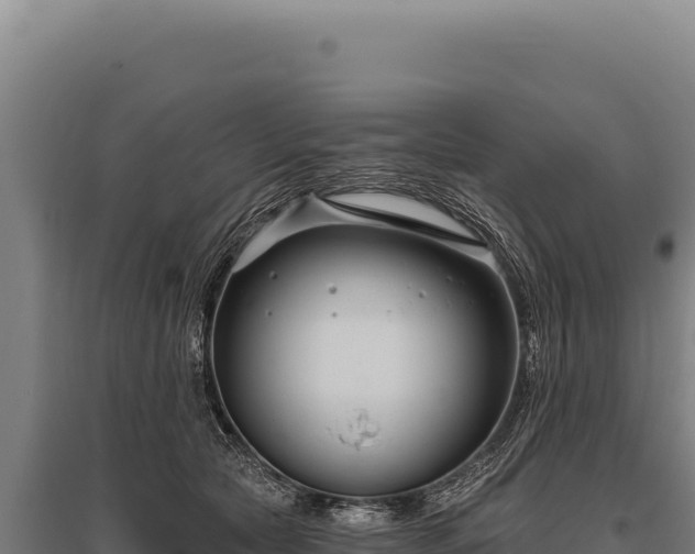 X0000095960561200801181448