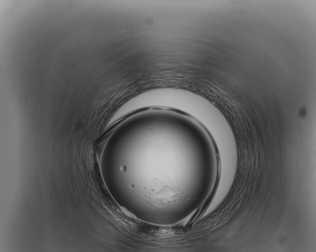 X0000095960562200801181448