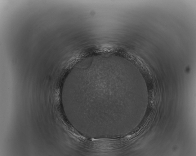 X0000095960563200801181448