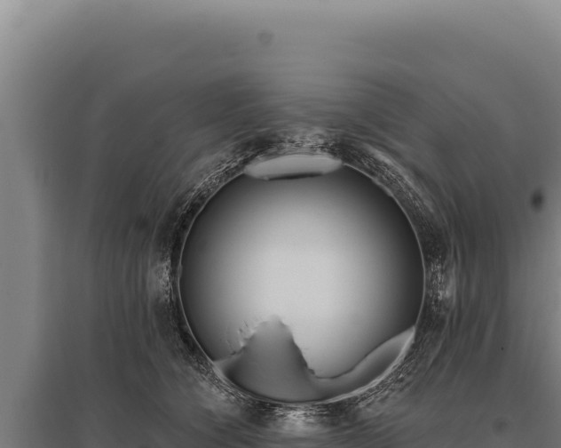 X0000095960564200801181448