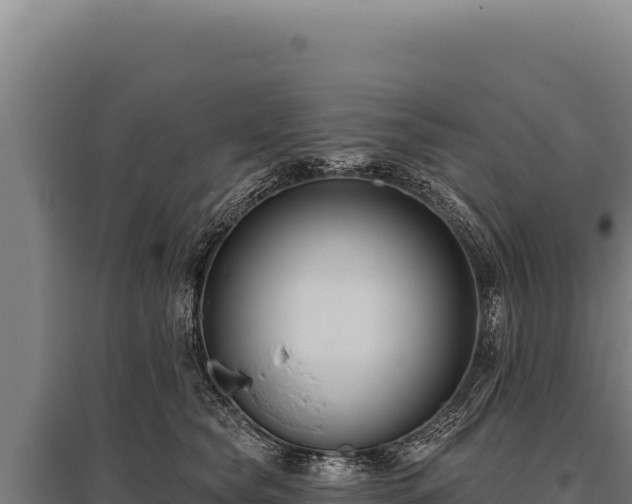 X0000095960565200801181448