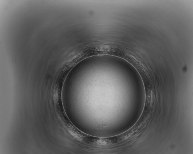 X0000095960566200801181448