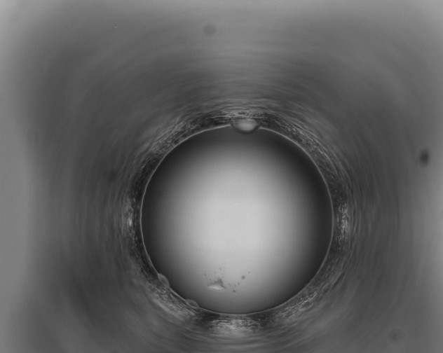 X0000095960567200801181448