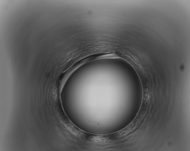 X0000095960568200801181448