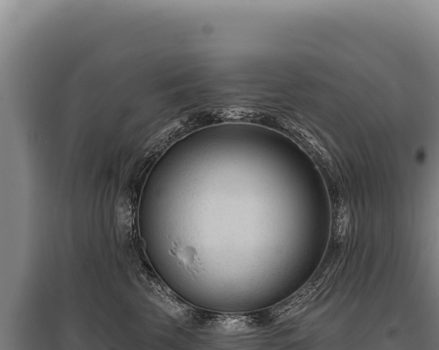 X0000095960569200801181448