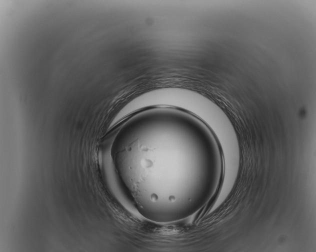 X0000095960570200801181448