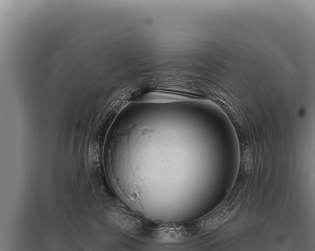 X0000095960571200801181448