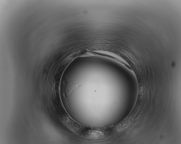 X0000095960572200801181448